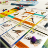 Wingspan European Expansion | Stonemaier Games | Familie Bordspel | En