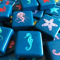 Aqualin | 999 Games | Strategy Board Game | Nl