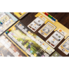 Rise | Capstone Games | Strategie-Brettspiel | En