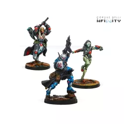 Infinity Dire Foes Mission Pack 12 Troubled Theft En