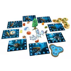 Photosynthese Im Mondlicht | Blue Orange | Familien-Brettspiel | Nl En Fr Es It Po Ru