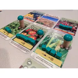 Earth | Geronimo Games | Strategy Board Game | Nl