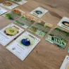 Fika | Gam'inBIZ | Jeu De Cartes | Nl