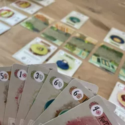 Fika | Gam'inBIZ | Jeu De Cartes | Nl