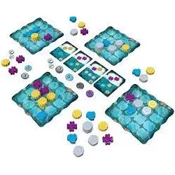 Reef | Next Move | Family Board Game | Nl Fr