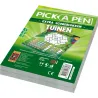 Pick A Pen Gardens Extra Scoreblocks | 999 Games